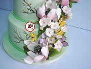 Tort Fantezie de primavara cu magnolii 4