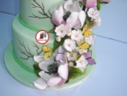 Tort Fantezie de primavara cu magnolii 4