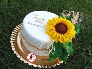 tort-floarea-soarelui_sunflower-cake-2_
