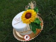 tort-floarea-soarelui_sunflower-cake_