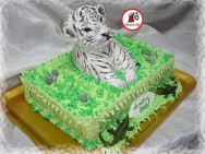 tort pui de tigru alb 3